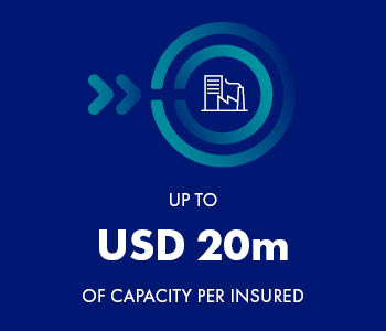 capacity-banner-property